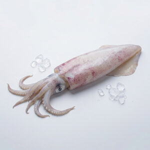 පිලි දැල්ලා | Squids (500g)