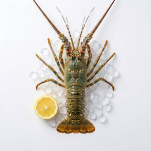 සිංගි ඉස්සා | Spiny Lobste (1kg)